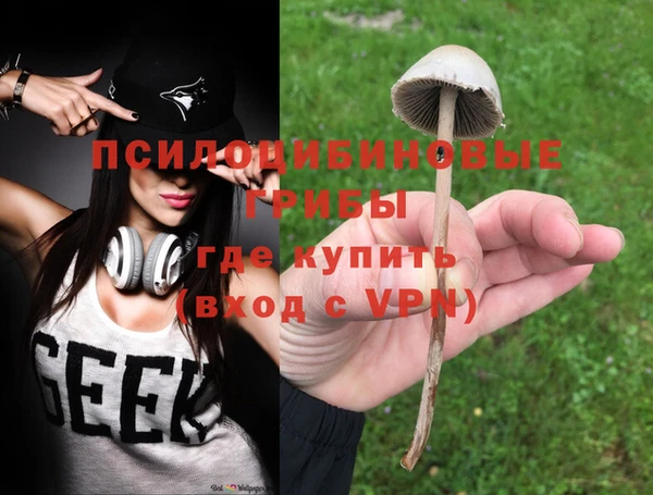 гидропоника Дмитриев