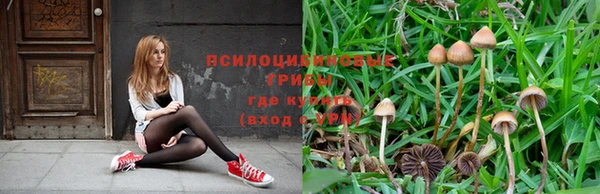 а пвп мука Дмитров