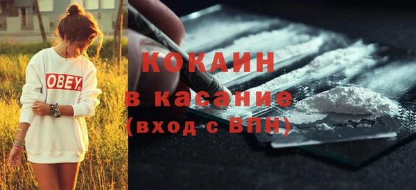 гидропоника Дмитриев