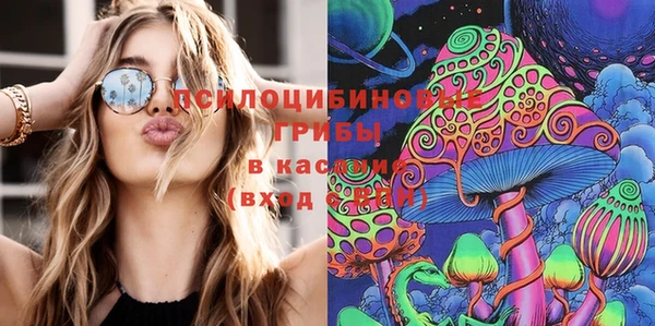 гидропоника Дмитриев