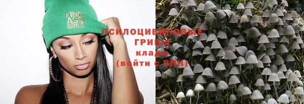 гидропоника Дмитриев