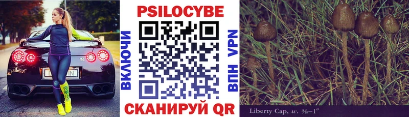 Псилоцибиновые грибы мицелий  Купить закладки  Балабаново 